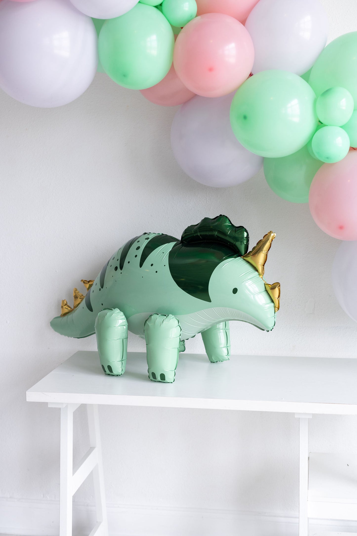 Dino Dreamland Grab and Go Balloon Garland