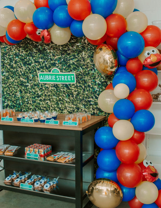 Sesame Street Birthday Bash - PaperGeenius