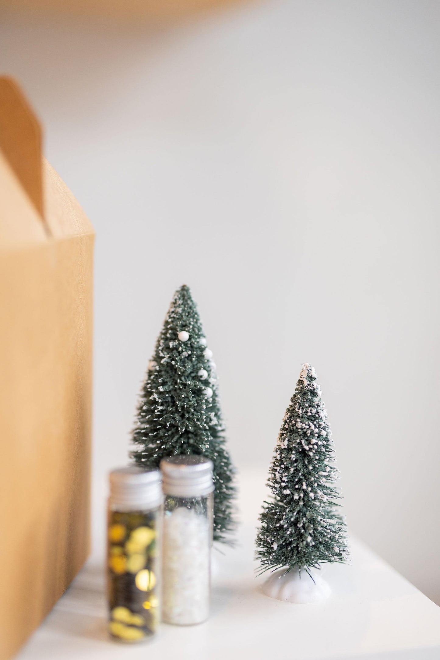 12-Day ELFtastic Kit