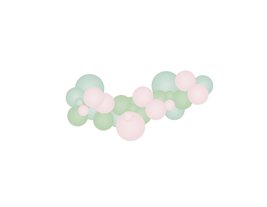 Petal & Prosecco Balloon Kit