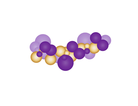 Queen Vibes Balloon Kit